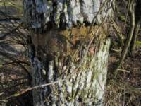 img_4231fx_small.jpg