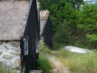 img_4472fx_small.jpg