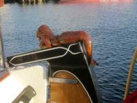 img_4504fx_small.jpg