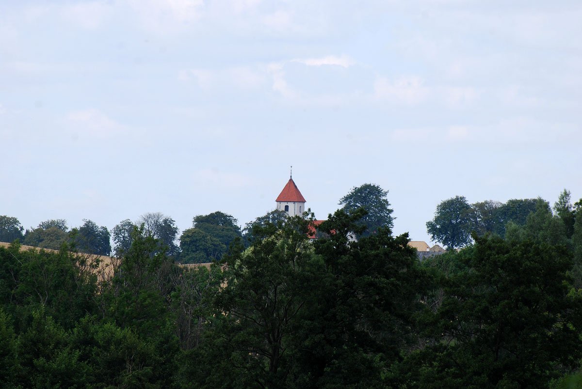 dsc_8890fx.jpg