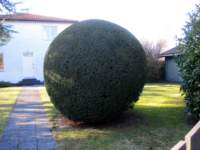 img_6321fx_small.jpg