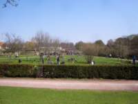 img_6503fx_small.jpg