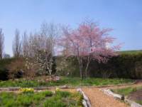 img_6505fx_small.jpg