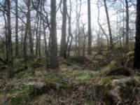 img_6544fx_small.jpg