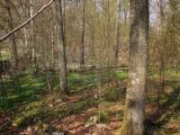 img_6549fx_small.jpg