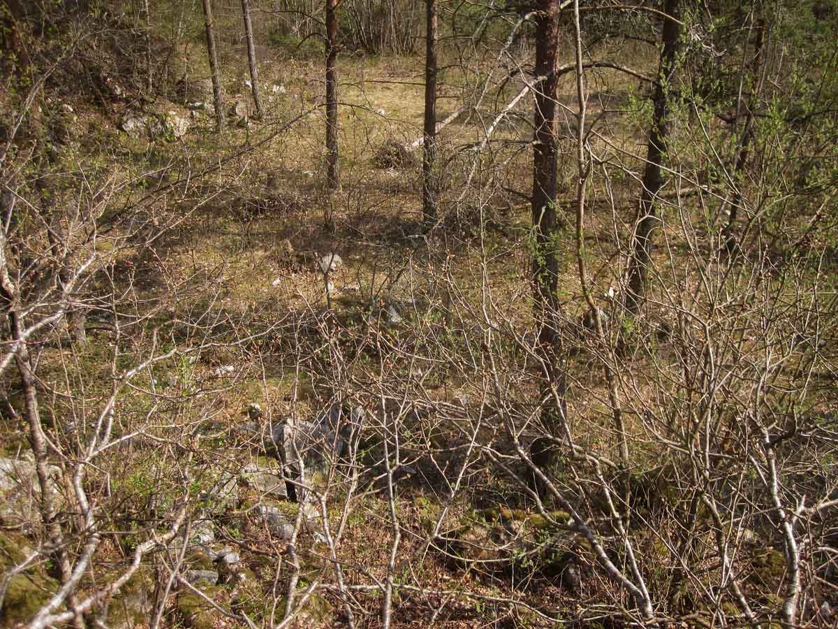 img_6551fx.jpg