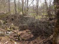 img_6555fx_small.jpg