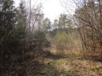 img_6571fx_small.jpg