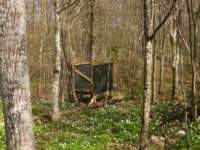 img_6572fx_small.jpg