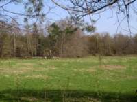 img_6573fx_small.jpg