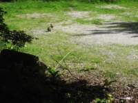 img_6758fx_small.jpg