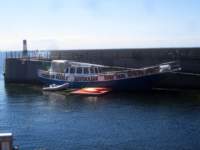 img_6774fx_small.jpg