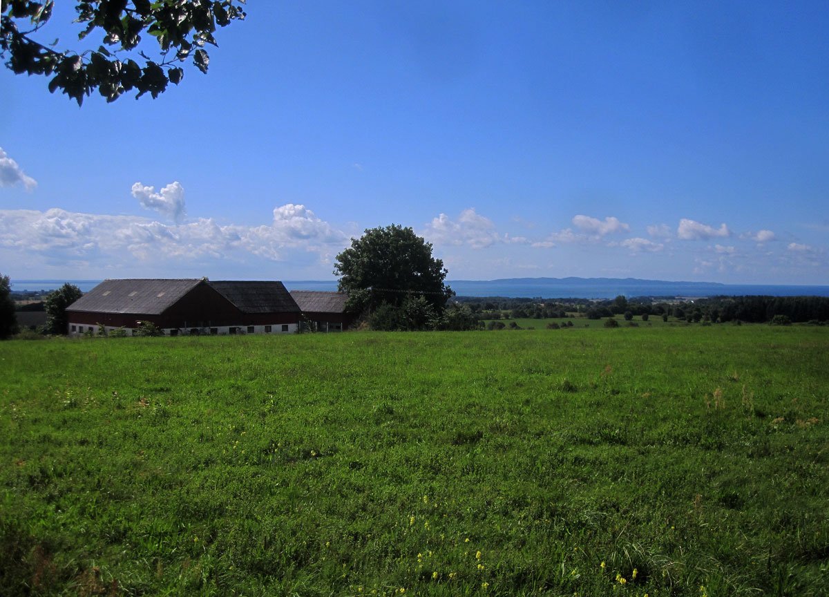 img_7225fx.jpg