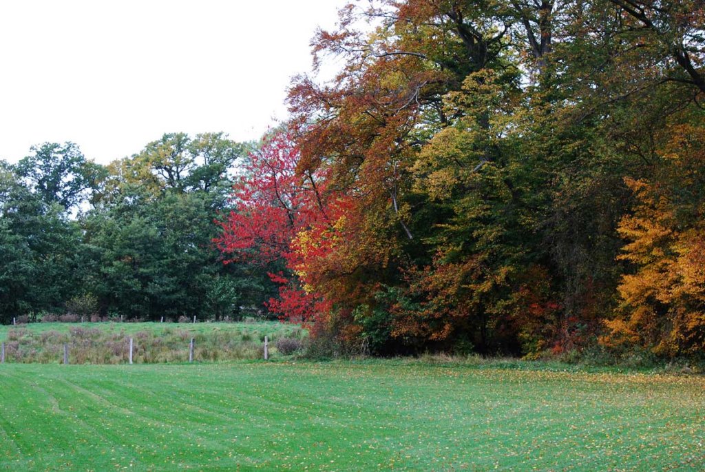 dsc_0049fx.jpg