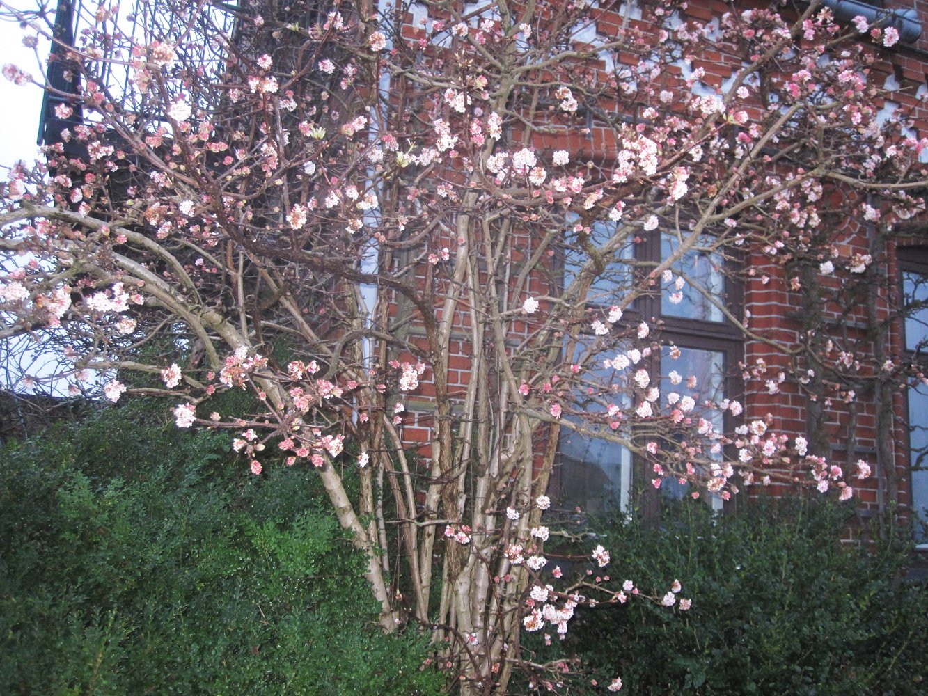 img_76871400px.jpg