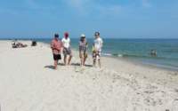 sandhammarensbouleproffsfx_small.jpg