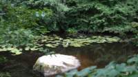 dsc00898fx_small.jpg