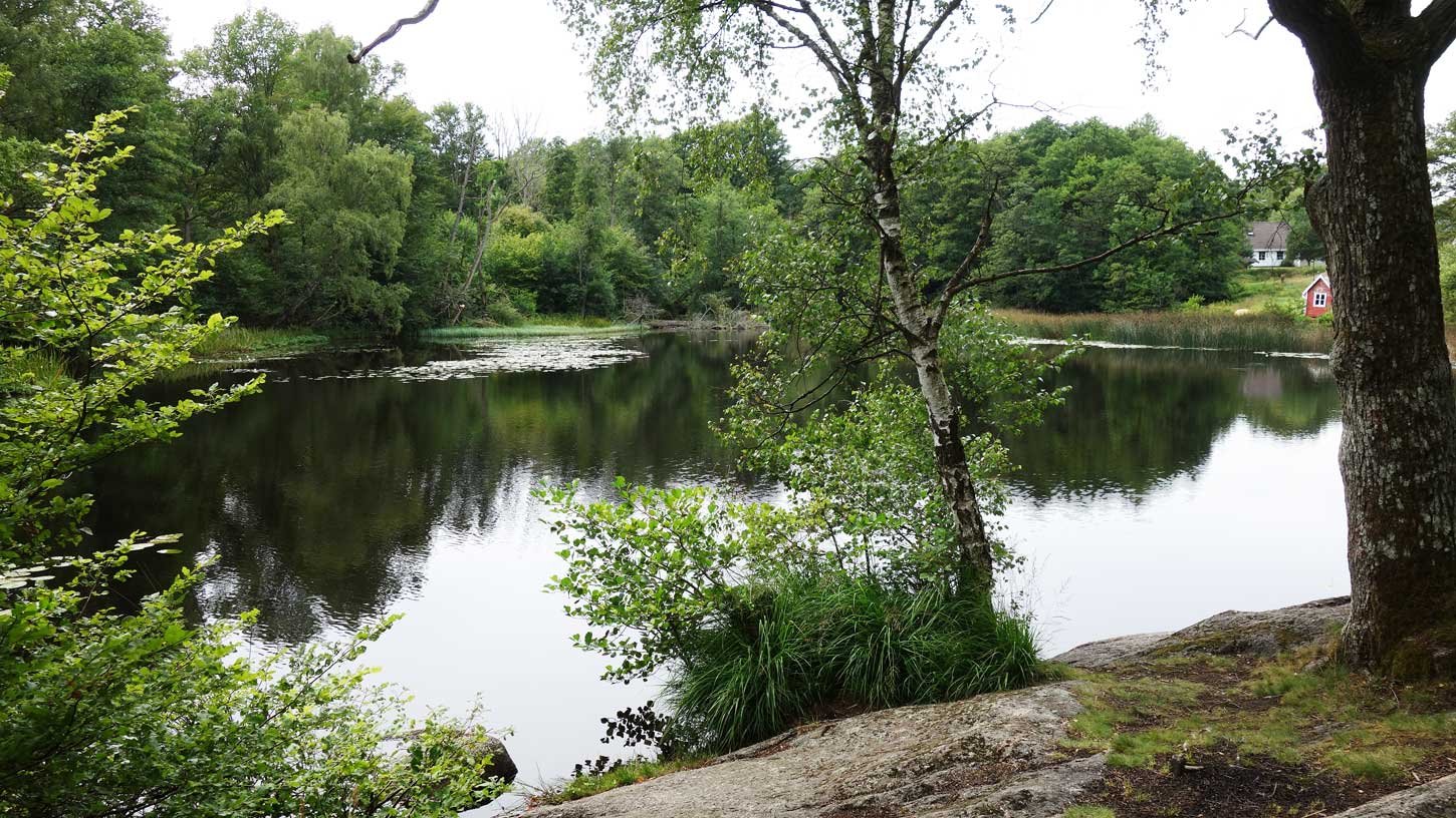 dsc00900fx.jpg
