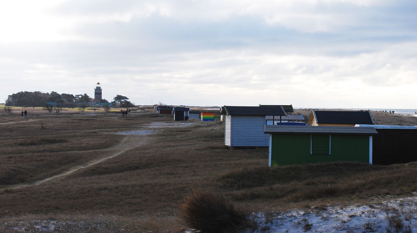 dsc_3111fx.jpg