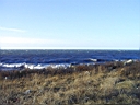 PICT0012.JPG