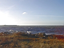 PICT0014.JPG