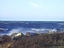 PICT0015.JPG