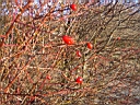 PICT0021.JPG
