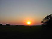 PICT0004.JPG