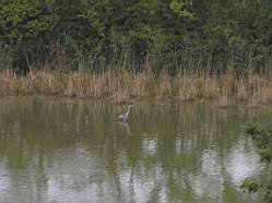 Haeger.040709-003.jpg