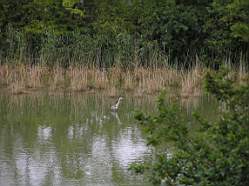 Haeger.040709-004.jpg