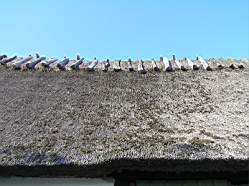 Skaanegaarden013.jpg