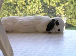 Heatstroke-005.jpg