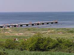 Badjaevlar-003.jpg
