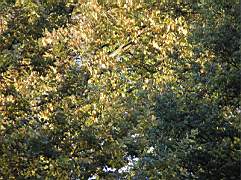 041027-004.jpg