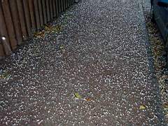 041120-HagelSnoe-001.jpg