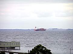 P8131530.jpg