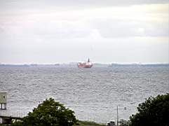 P8131532.jpg