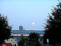 P8151574.jpg