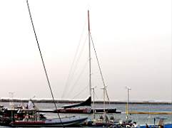 P8241688.jpg