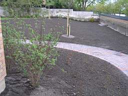 b.P5192479.jpg
