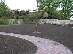 e.P5192482.jpg