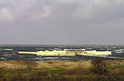 P1143282fix.jpg