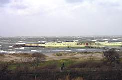 P1143294fix.jpg