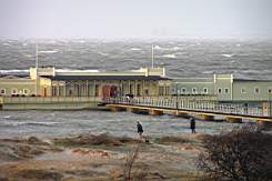 P1143320fix.jpg
