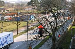 P3263540fix.jpg