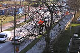 P3263542fix.jpg