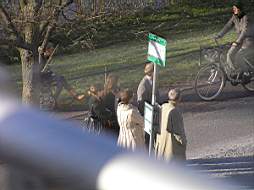 P4213756fix.jpg