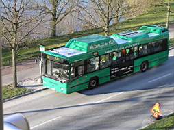 P4213760fix.jpg