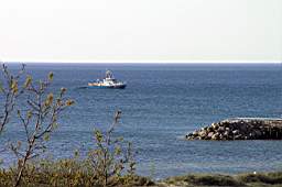 P5053870fix.jpg