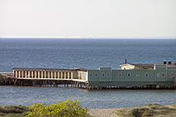 P5053871fix.jpg